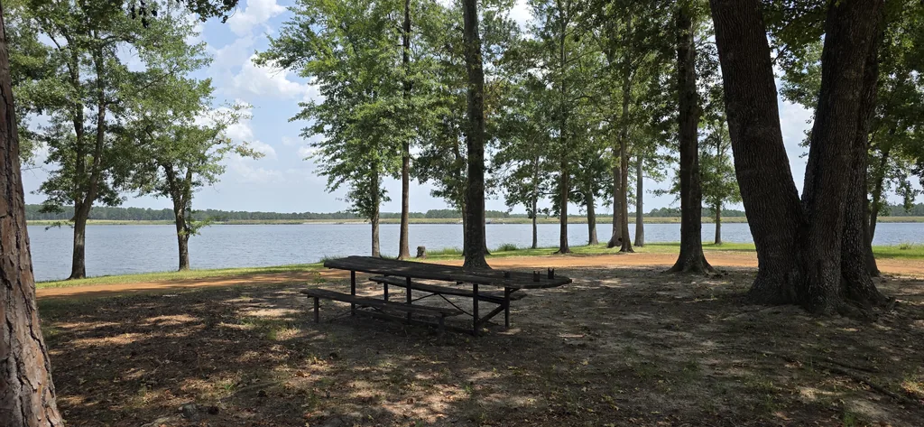 Shaded waterfront commons and picnic area at The Meadows on Lake Palestine near Frankston, Texas.
